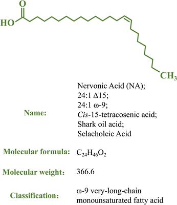 A Review of Nervonic Acid Production in Plants: Prospects for the Genetic Engineering of High Nervonic Acid Cultivars Plants